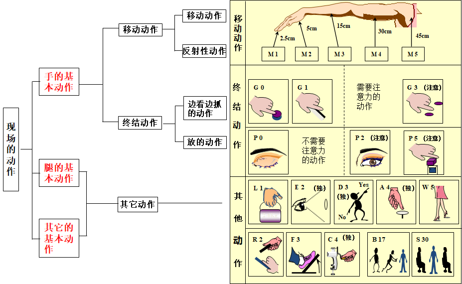 MOD（模特法）動(dòng)作分析法